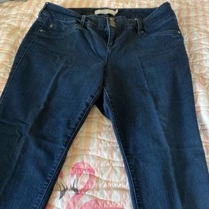 Torrid Jeggings, Woman’s Tall